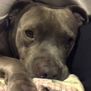 Meet your Posher, Nicolas